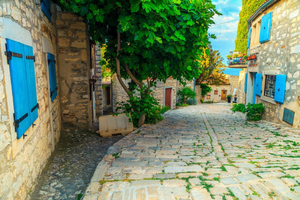 Wonderful tourism and travel destination, mediterranean cobblestone street with stone houses, Rovinj, Istria Peninsula, Croatia, Europe