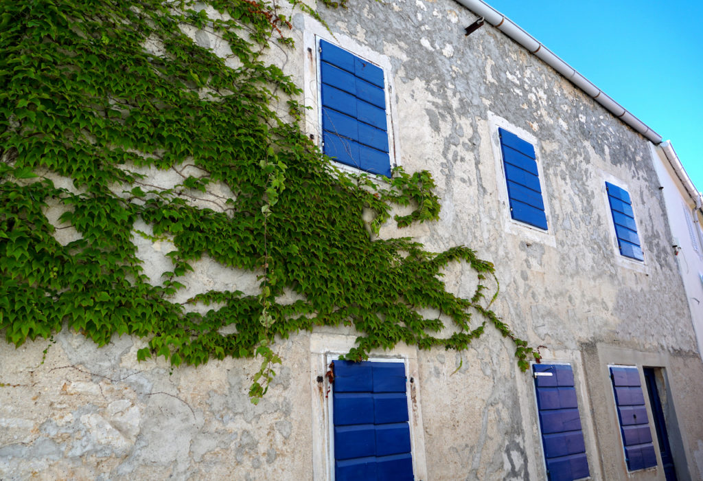 Old stone rustic facade with ivy plant and blue wooden shutters, traditional in the coastal parts of Croatia, Istria or Dalmatia